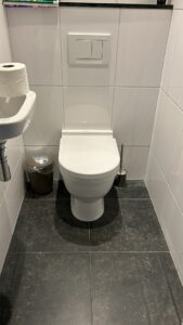 Resultaat toilet renovatie